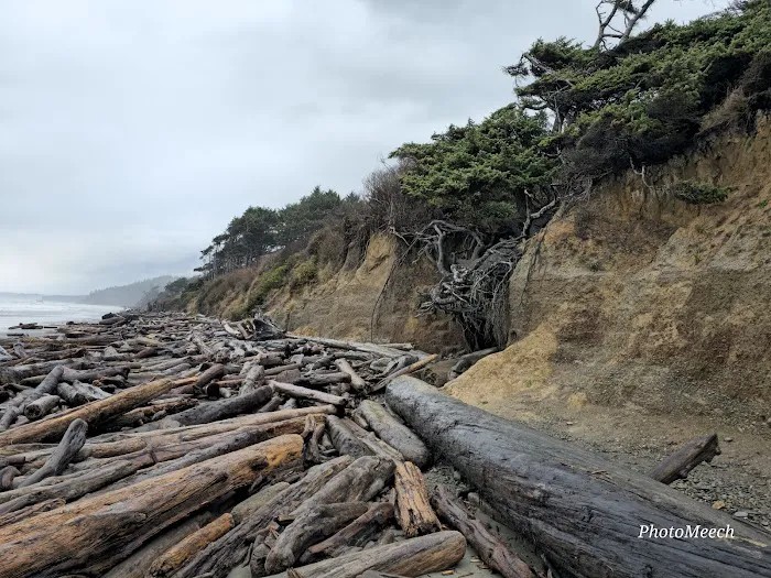 Kalaloch Campground Picture 8