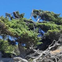 Kalaloch Campground Rv Dump Station ico