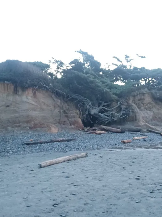 Kalaloch Campground Rv Dump Station Picture 9