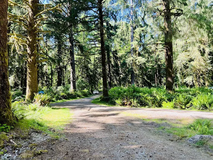 Cottonwood Campground Picture 4