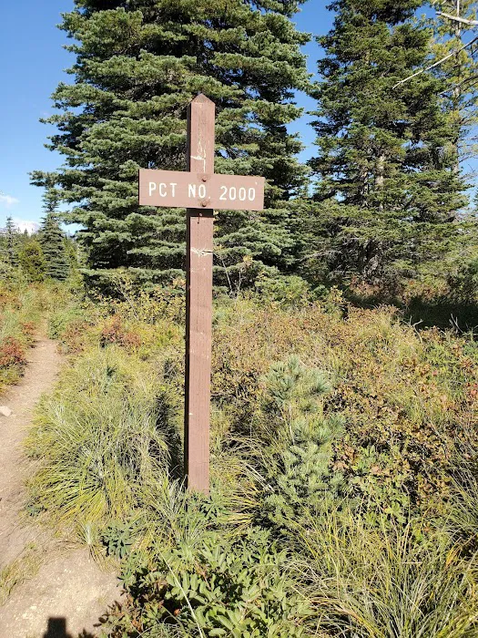 Interpretive Site: Berry Fields Picture 9