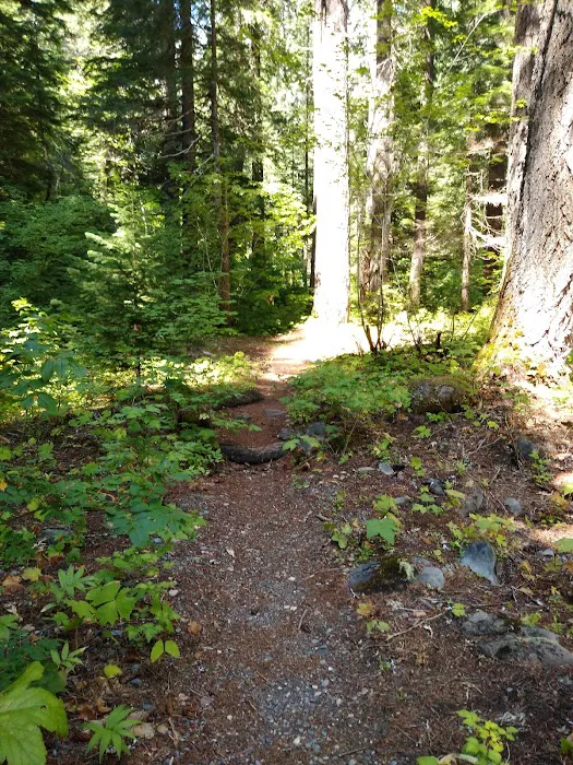 Twin Falls Campground Picture 9