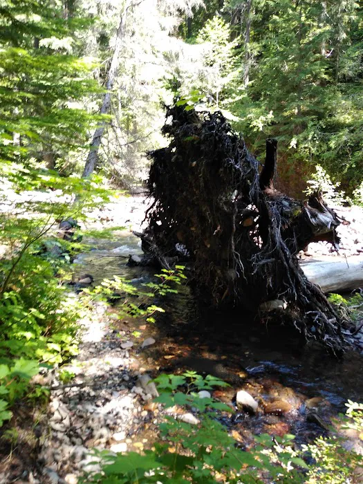 Twin Falls Campground Picture 6