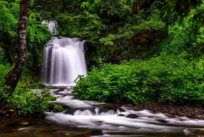 Twin Falls Campground Picture 1