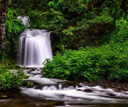 Twin Falls Campground