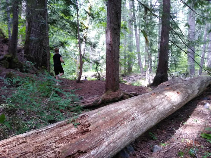 Twin Falls Campground Picture 7