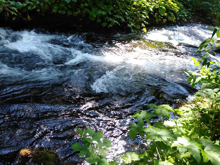 Twin Falls Campground Picture 5