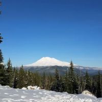 Cultus Creek Campground ico