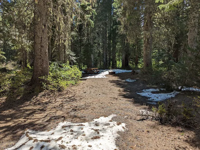 Cultus Creek Campground Picture 8