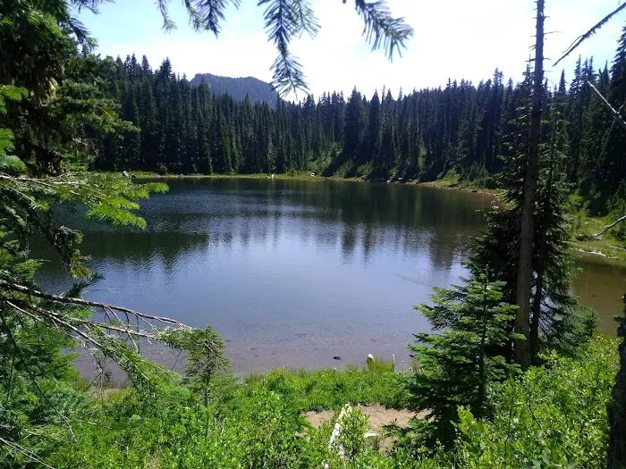 Cultus Creek Campground Picture 6