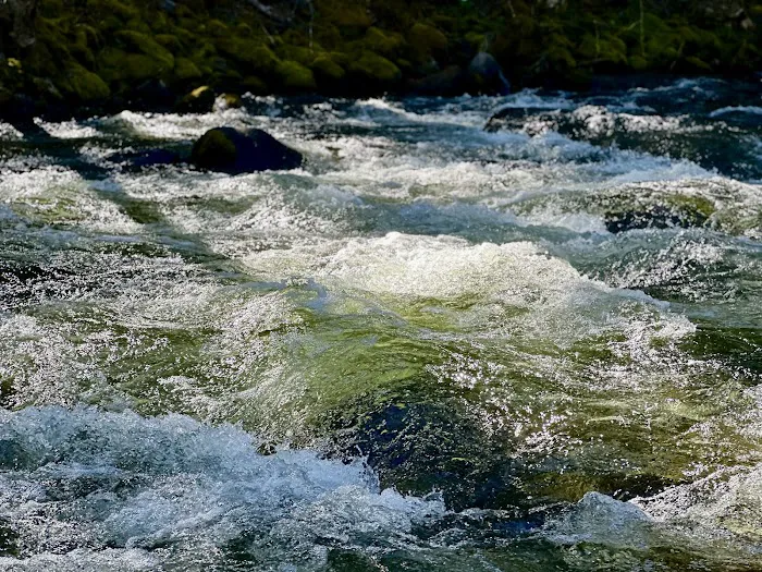Trout Lake Creek Campground Picture 1