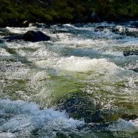 Trout Lake Creek Campground ico