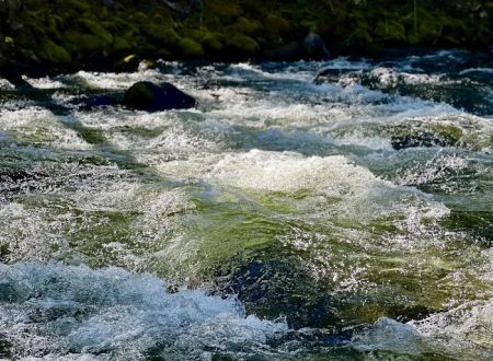 Trout Lake Creek Campground