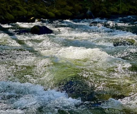 Trout Lake Creek Campground