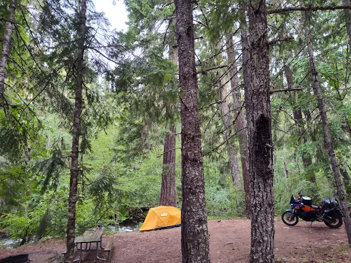 Trout Lake Creek Campground Picture 10
