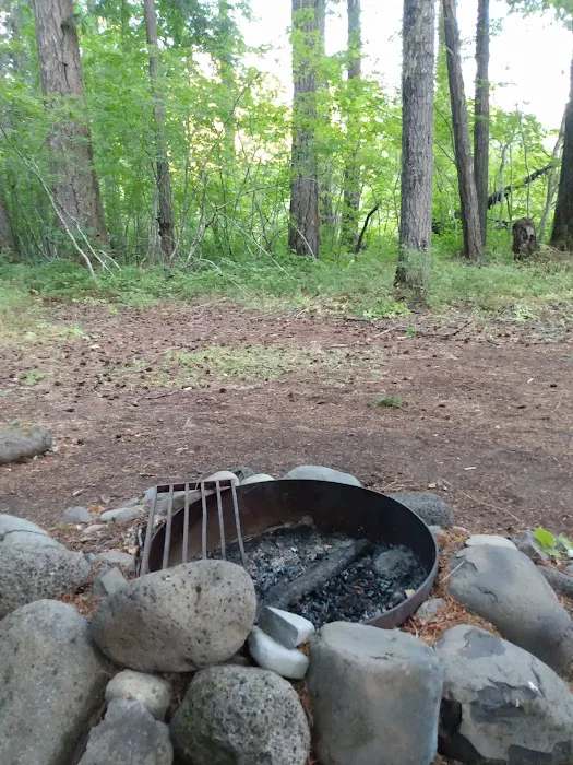 Trout Lake Creek Campground Picture 5