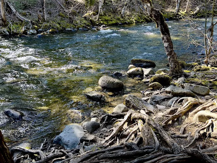 Trout Lake Creek Campground Picture 6