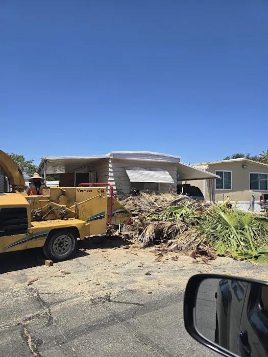 Patrician Mobile Home Park Picture 7