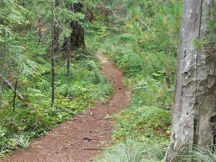 Horse Camp: Falls Creek Picture 2