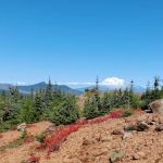 Horse Camp: Falls Creek