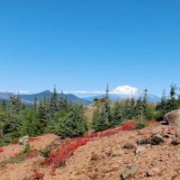 Horse Camp: Falls Creek ico