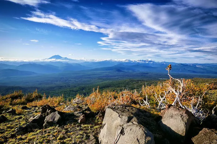 High Camp Picture 3