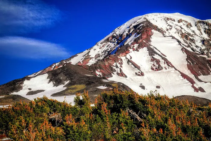 High Camp Picture 10