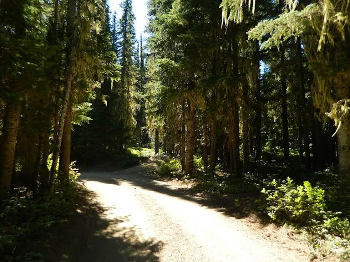 Killen Creek Campground Picture 9