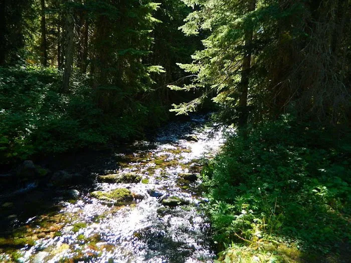 Killen Creek Campground Picture 8