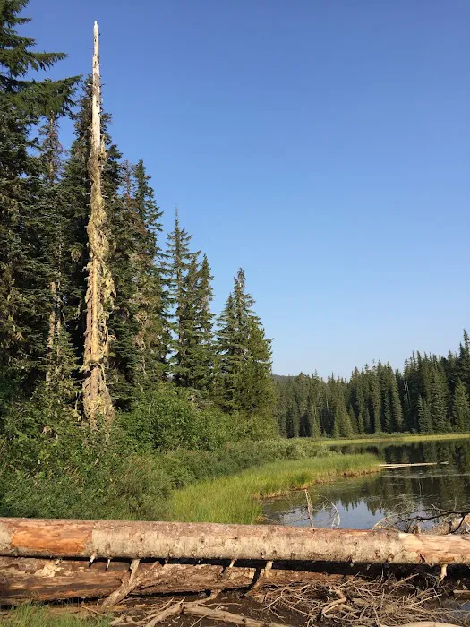 Campground: Forlorn Lakes Picture 1