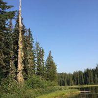 Campground: Forlorn Lakes ico