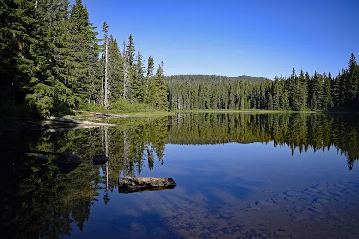 Campground: Forlorn Lakes Picture 2