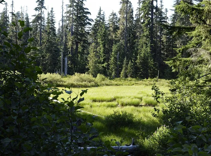 Campground: Forlorn Lakes Picture 3