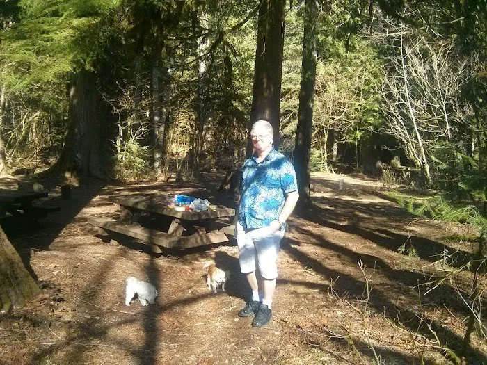 Paradise Creek Campground Picture 5
