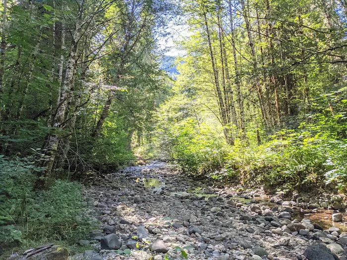 Paradise Creek Campground Picture 2