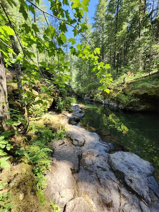Paradise Creek Campground Picture 7