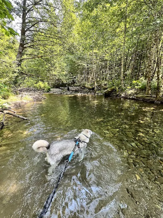 Paradise Creek Campground Picture 9