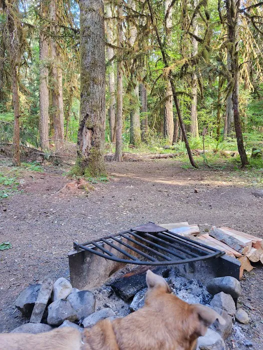Paradise Creek Campground Picture 8