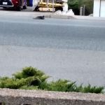 Bel Aire Mobile Estates