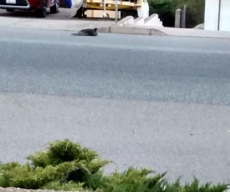 Bel Aire Mobile Estates