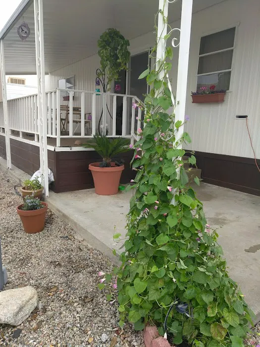 Bel Aire Mobile Estates Picture 9