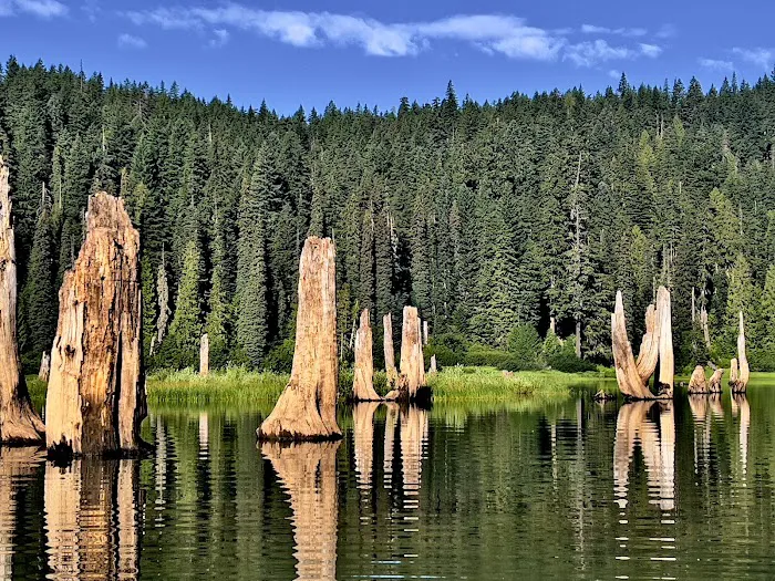 Goose Lake Campground Picture 6