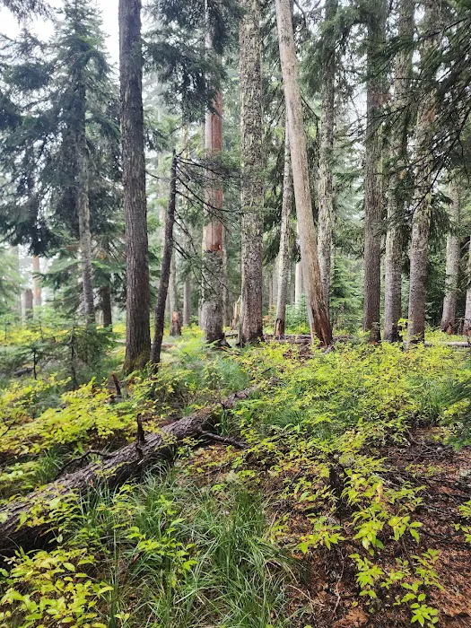 Goose Lake Campground Picture 1