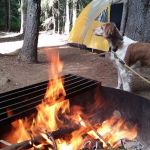 Peterson Prairie and Peterson Prairie Group Campground