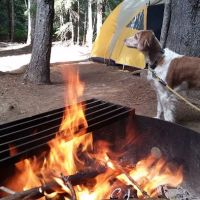Peterson Prairie and Peterson Prairie Group Campground ico