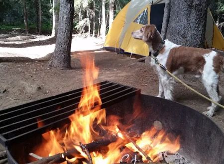 Peterson Prairie and Peterson Prairie Group Campground