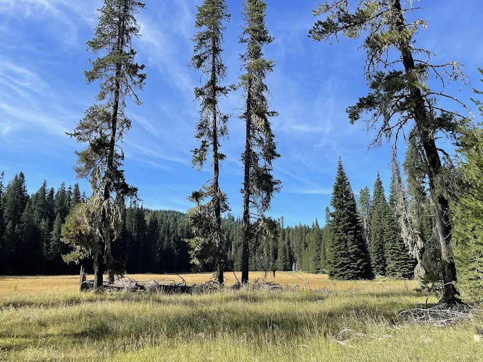 Peterson Prairie and Peterson Prairie Group Campground Picture 10