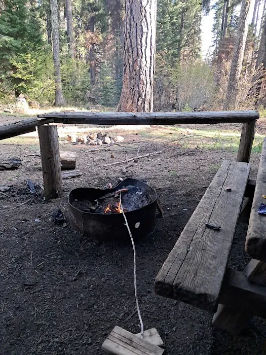 Wicky Shelter Campground Picture 2