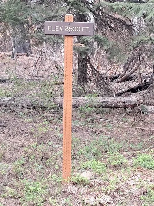 Wicky Shelter Campground Picture 1