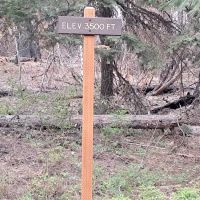 Wicky Shelter Campground ico